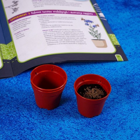 Zestaw I'M A Genius - Laboratorium pszczół