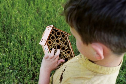 Zestaw I'M A Genius - Laboratorium pszczół