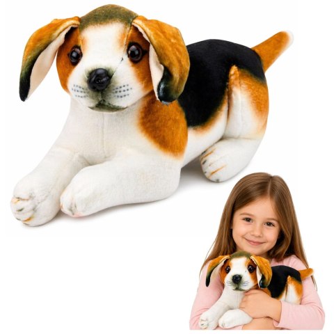 Pluszowy Piesek Beagle Przytulanka Maskotka Pluszak Pies Miękki 25 cm