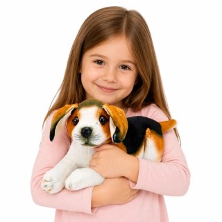 Pluszowy Piesek Beagle Przytulanka Maskotka Pluszak Pies Miękki 25 cm