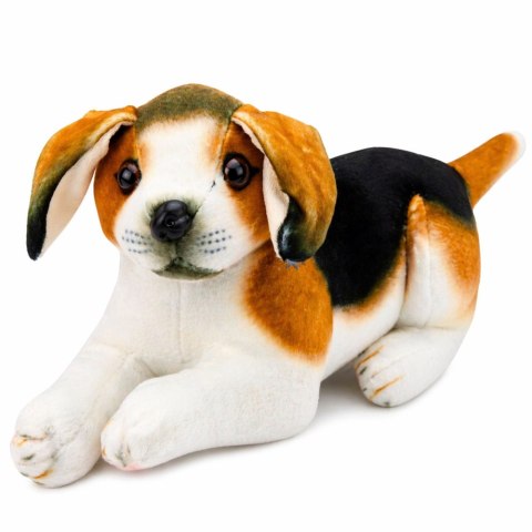 Pluszowy Piesek Beagle Przytulanka Maskotka Pluszak Pies Miękki 25 cm