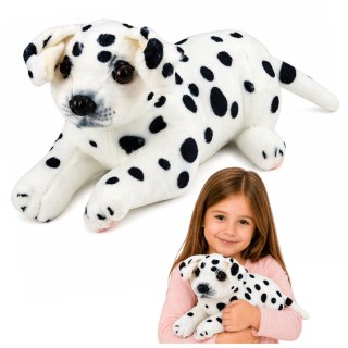 Pluszowy Piesek Dalmatyńczyk Przytulanka Maskotka Pluszak Pies Miękki 25 cm