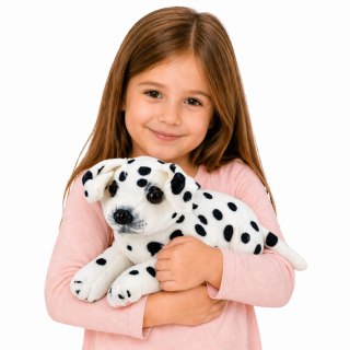 Pluszowy Piesek Dalmatyńczyk Przytulanka Maskotka Pluszak Pies Miękki 25 cm