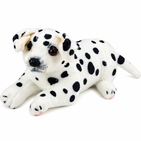 Pluszowy Piesek Dalmatyńczyk Przytulanka Maskotka Pluszak Pies Miękki 25 cm