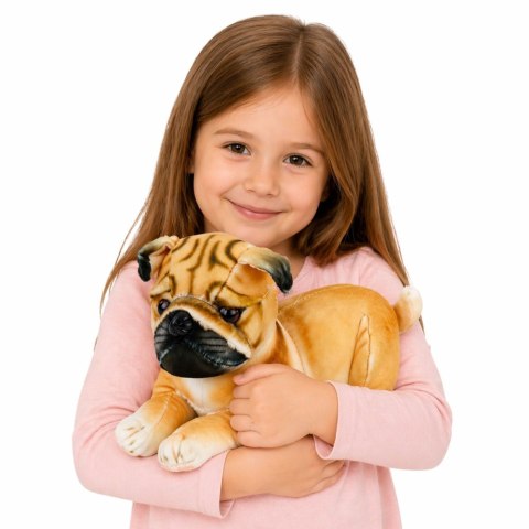 Pluszowy Piesek Mops Przytulanka Maskotka Pluszak Pies Miękki 25 cm