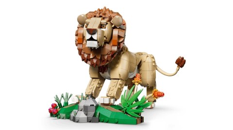LEGO Creator 3w1 31386 - Dzikie zwierzęta: Dumny lew