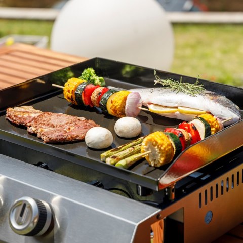 Grill gazowy BXOP4900E Black+Decker 2 palniki | 2,45kW | automatyczny zapłon | 450 x 360 mm