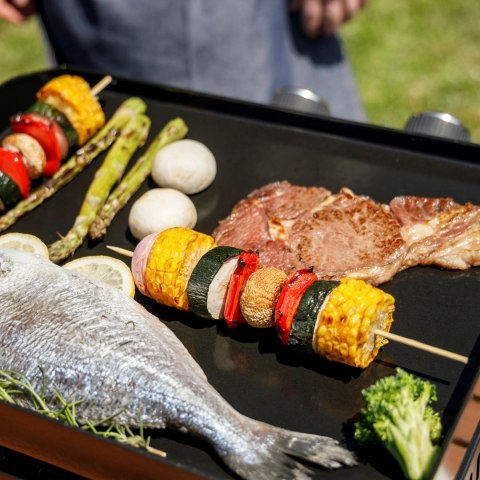 Grill gazowy BXOP4900E Black+Decker 2 palniki | 2,45kW | automatyczny zapłon | 450 x 360 mm