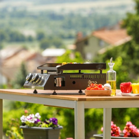 Grill gazowy BXOP4900E Black+Decker 2 palniki | 2,45kW | automatyczny zapłon | 450 x 360 mm