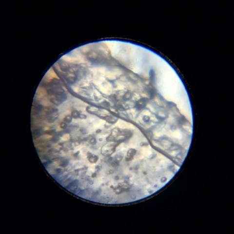 Mikroskop Im A Genius Lisciani