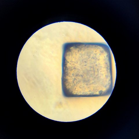 Mikroskop Im A Genius Lisciani