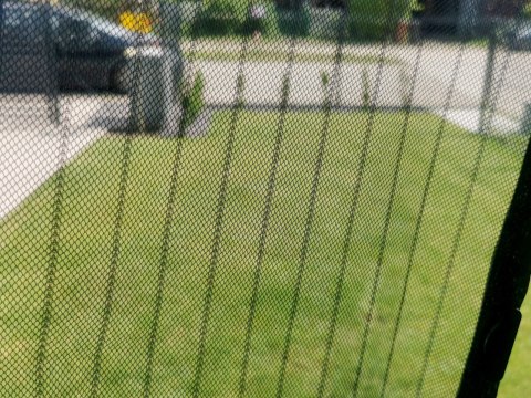 Moskitiera siatka magnetyczna na drzwi 160x230cm CZARNA Kik Sp. z o. o. Sp. k.