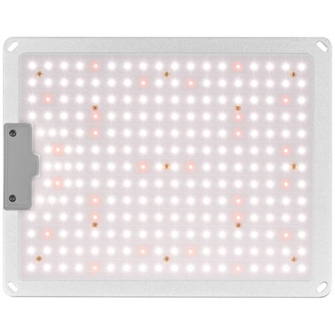 Lampa do uprawy wzrostu roślin pełne spektrum 30 x 24 cm 234 LED 110 W srebrna Hillvert