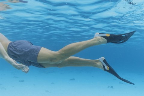 Zestaw Do Nurkowania Maska, Rurka, Płetwy Czarny Bestway 25020 Bestway