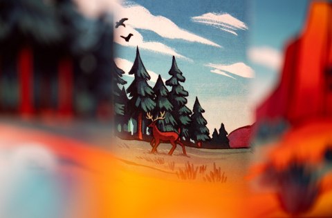 Gra Mesos (PL) Lucky Duck Games