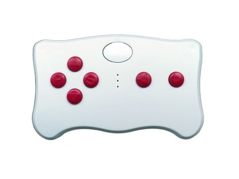 Pilot TX10 do pojazdu na akumulator 2.4G z modułem FCC LEAN CARS