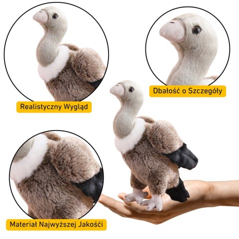 Pluszowy Sęp Ptak Pluszak Maskotka Przytulanka 25cm LEAN Toys