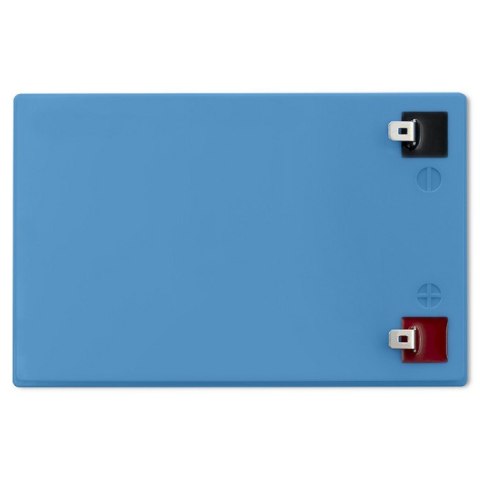 Akumulator LiFePO4 Litowo-Żelazowo-Fosforanowy | 12.8V | 12Ah | 153.6Wh | BMS Qoltec