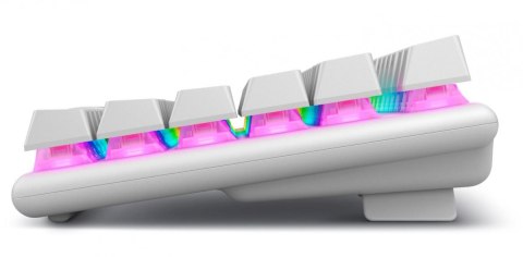 Klawiatura bezprzewodowa Alienware Pro US QWERTY Lunar Light Dell