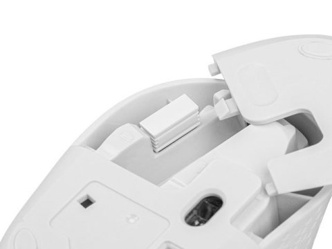 Mysz bezprzewodowa Stork 1600 DPI biała Natec