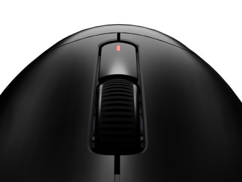 Mysz Fury TANTO T4 RGB 12000DPI gamingowa czarna Natec