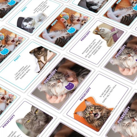 Gra Monopoly Koty 2025 Winning Moves