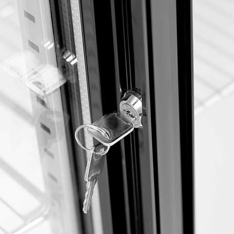 Lodówka chłodziarka barowa na napoje przeszklona 318 l 220 W Royal Catering