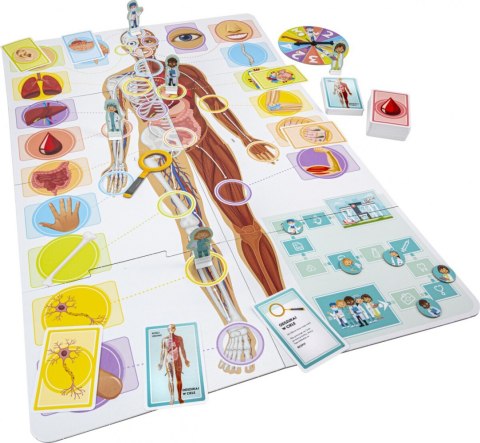 Gra Uczymy się. Nasze niesamowite ciało Tactic