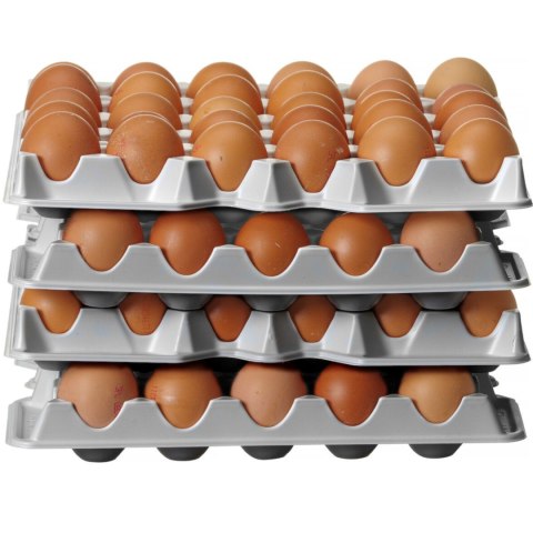 Tacka na jajka do pojemnika OVOBOX 120 - zestaw 4 szt. Hendi