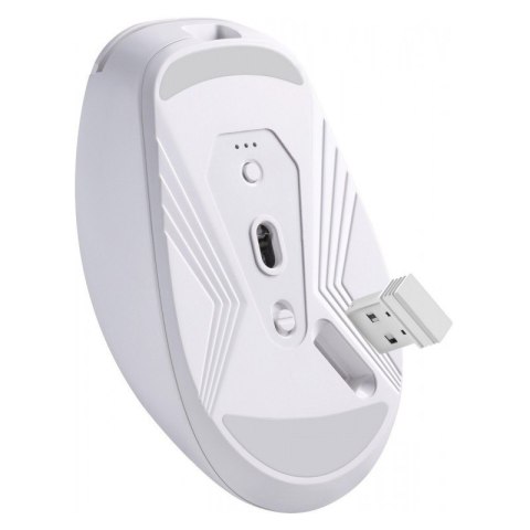 Mysz bezprzewodowa NITTA MM-307 RF+BT 1600DPI 6P biała Defender