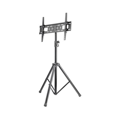 Stojak mobilny do TV LCD/LED/PDP 37-70 cali 35kg pochylany VESA Manhattan