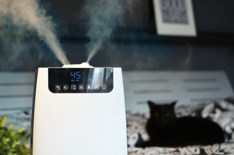 Nawilżacz powietrza AHS803 Blaupunkt