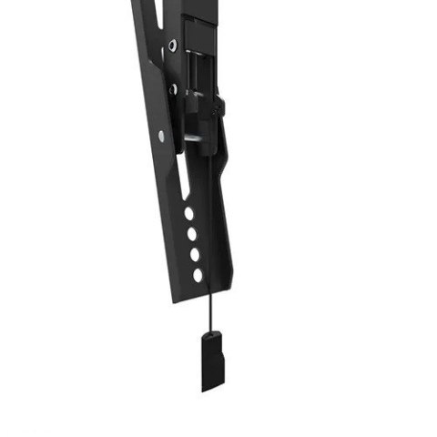 Uchwyt TV WL35-550BL18 Neomounts