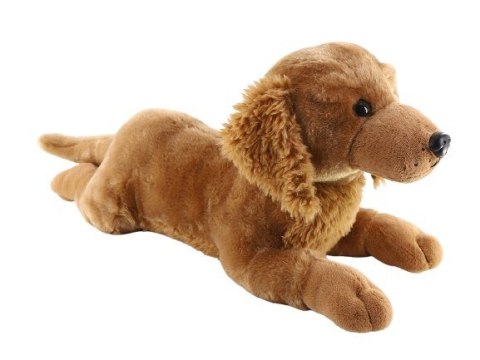 Maskotka Pies Golden leżący 60 cm Madej