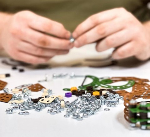 Zestaw konstrukcyjny Mały Konstruktor Dinozaury Triceratops Alexander