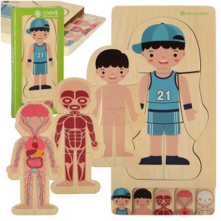 Puzzle drewniane warstwowe budowa ciała montessori chłopiec Kik Sp. z o. o. Sp. k.