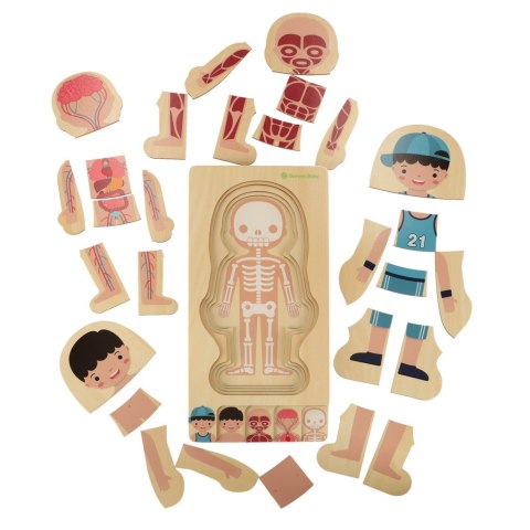 Puzzle drewniane warstwowe budowa ciała montessori chłopiec Kik Sp. z o. o. Sp. k.