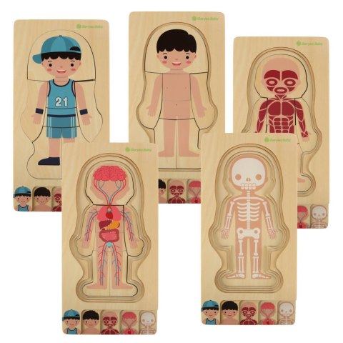 Puzzle drewniane warstwowe budowa ciała montessori chłopiec Kik Sp. z o. o. Sp. k.