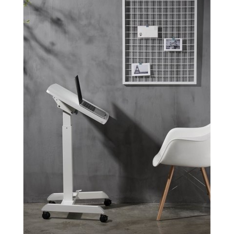 Stolik stojak pod laptopa odchylany regulowany na kółkach 60 x 52 cm 760 - 1130 mm FROMMSTARCK