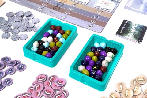 Gra Na skrzydłach smoków Rebel