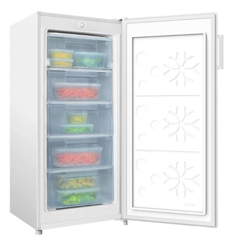 Zamrażarka FZ206.5(E) Amica