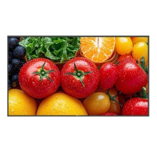 Monitor wielkoformatowy QM-5503 CZARNY 500cd/m2 5000:1 24/7 4K AG NEOVO