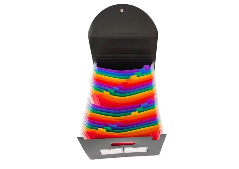 Organizer Teczka Z Przegródkami Kolorowa Zakładki Dokumenty A4 LEAN