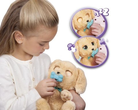 Maskotka interaktywna Psytulaski, pies Labrador Epee