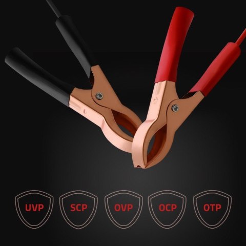 Inteligentna ładowarka Monolith do akumulatorów LiFePO4 AGM GEL SLA | 10A | 24V Qoltec