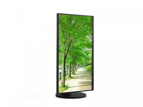 Monitor MultiSync EA272U 27 cali czarny Sharp