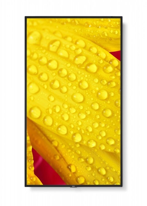 Monitor wielkoformatowy MultiSync M651-2 65 cali UHD 500cd/m2 24/7 NEC