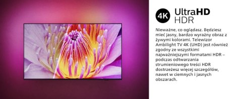 Telewizor 65 cali LED 65PUS8919/12 Philips