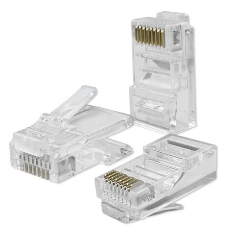 Wtyk złącze modularne RJ45 | CAT6 | UTP | Pozłacane styki | 100 sztuk Qoltec