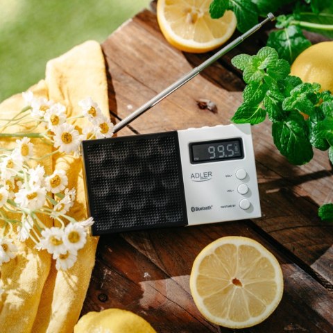 Radio cyfrowe PLL AD1908 Adler